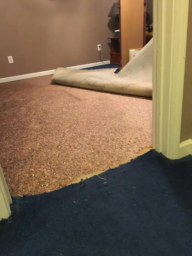 Carpet pad removal revealing water damage during Water Mitigation Services in Rossmoor