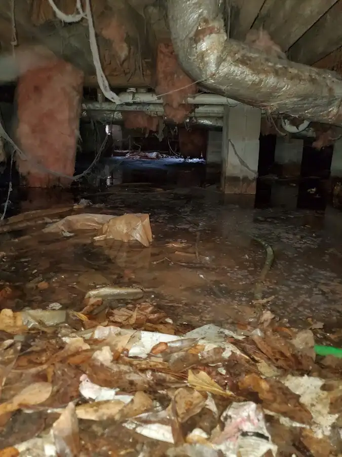 Crawl space flood assessment for Leak Detection & Repair in Rossmoor