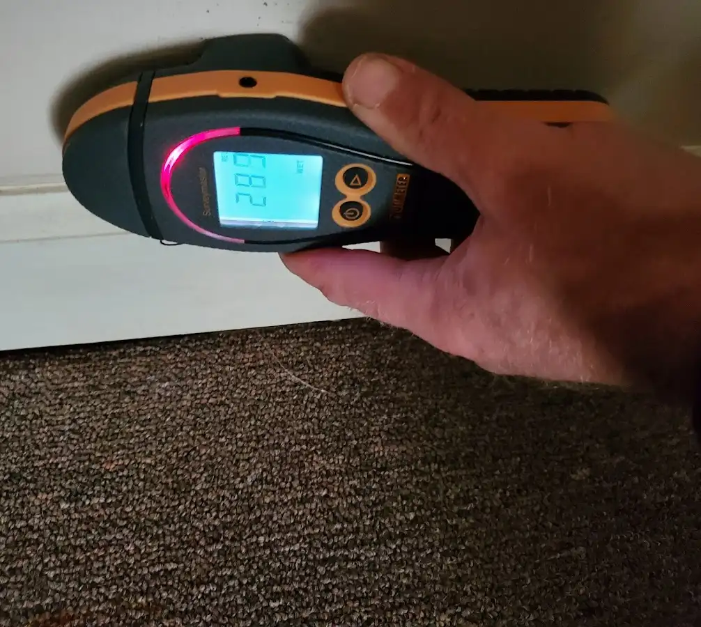 Moisture detection at baseboard during Mold Inspection & Testing in Rossmoor